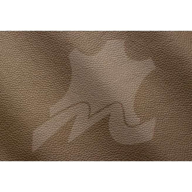 Aligo Group фото